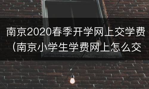南京2020春季开学网上交学费（南京小学生学费网上怎么交）