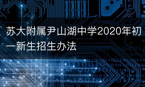 苏大附属尹山湖中学2020年初一新生招生办法