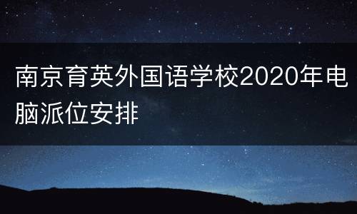 南京育英外国语学校2020年电脑派位安排