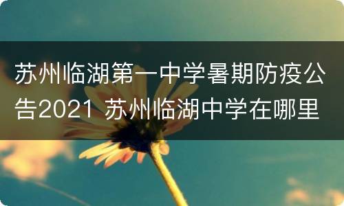 苏州临湖第一中学暑期防疫公告2021 苏州临湖中学在哪里