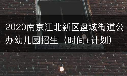 2020南京江北新区盘城街道公办幼儿园招生（时间+计划）