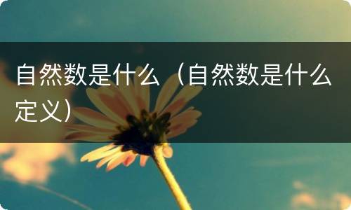 自然数是什么（自然数是什么定义）