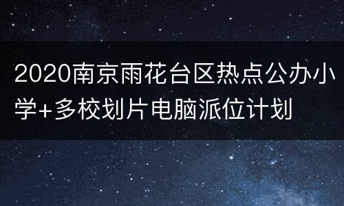 2020南京雨花台区热点公办小学+多校划片电脑派位计划