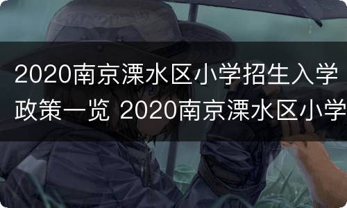 2020南京溧水区小学招生入学政策一览 2020南京溧水区小学招生入学政策一览图