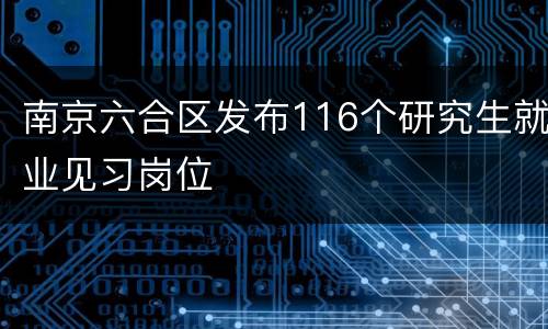 南京六合区发布116个研究生就业见习岗位