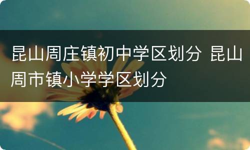 昆山周庄镇初中学区划分 昆山周市镇小学学区划分