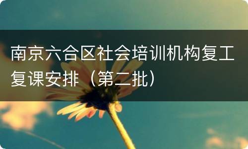 南京六合区社会培训机构复工复课安排（第二批）