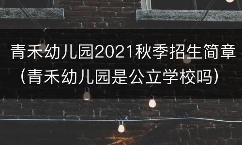青禾幼儿园2021秋季招生简章（青禾幼儿园是公立学校吗）