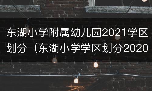 东湖小学附属幼儿园2021学区划分（东湖小学学区划分2020）