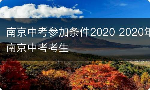 南京中考参加条件2020 2020年南京中考考生