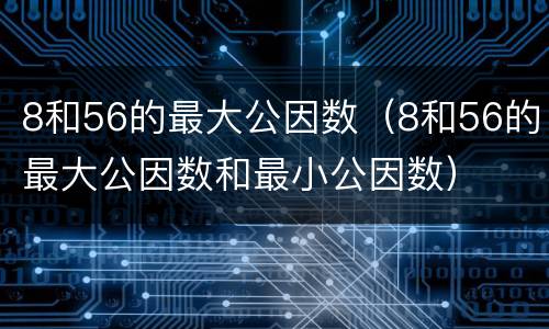 8和56的最大公因数（8和56的最大公因数和最小公因数）