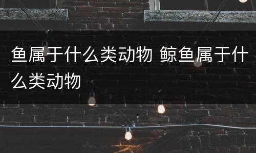 鱼属于什么类动物 鲸鱼属于什么类动物