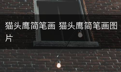 猫头鹰简笔画 猫头鹰简笔画图片