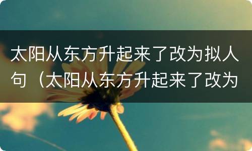 太阳从东方升起来了改为拟人句（太阳从东方升起来了改为拟人句二年级）
