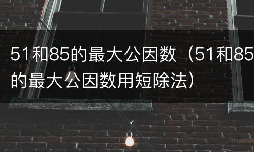51和85的最大公因数（51和85的最大公因数用短除法）
