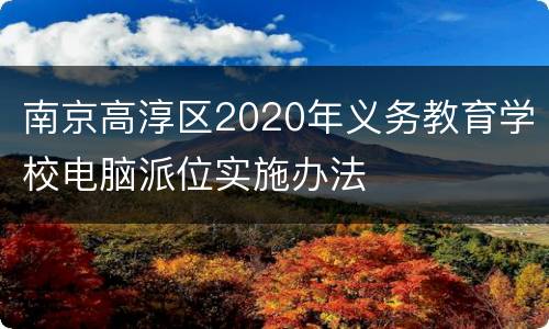 南京高淳区2020年义务教育学校电脑派位实施办法