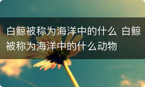 白鲸被称为海洋中的什么 白鲸被称为海洋中的什么动物