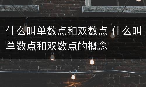什么叫单数点和双数点 什么叫单数点和双数点的概念