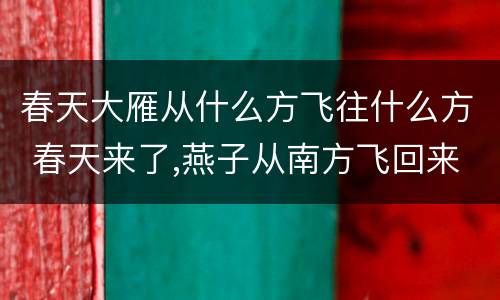 春天大雁从什么方飞往什么方 春天来了,燕子从南方飞回来了