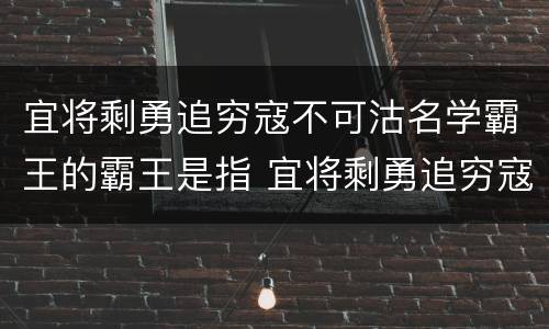 宜将剩勇追穷寇不可沽名学霸王的霸王是指 宜将剩勇追穷寇不可沽名学霸王的霸王指的是谁
