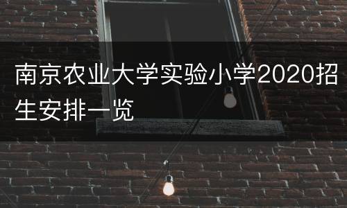 南京农业大学实验小学2020招生安排一览