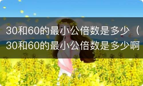 30和60的最小公倍数是多少（30和60的最小公倍数是多少啊）