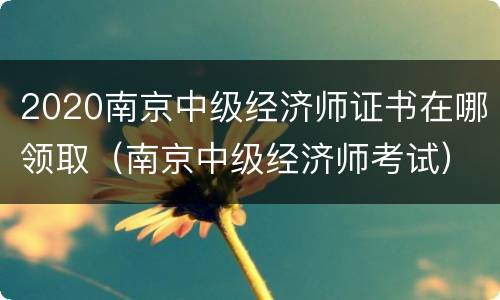 2020南京中级经济师证书在哪领取（南京中级经济师考试）