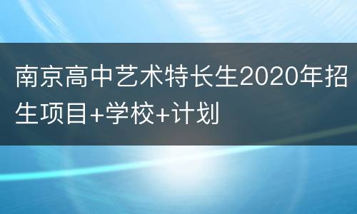 南京高中艺术特长生2020年招生项目+学校+计划