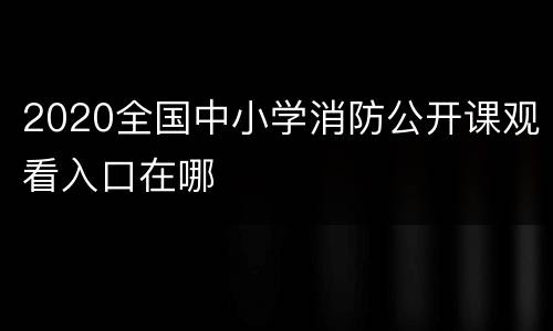 2020全国中小学消防公开课观看入口在哪