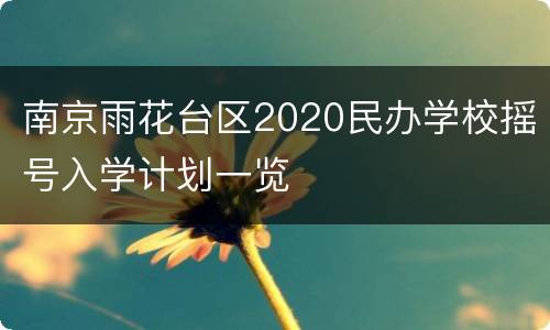 南京雨花台区2020民办学校摇号入学计划一览