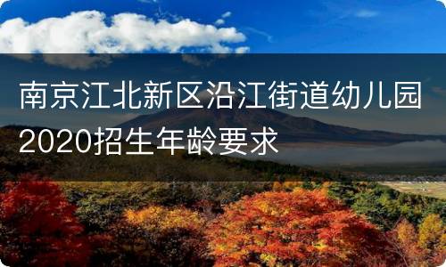 南京江北新区沿江街道幼儿园2020招生年龄要求