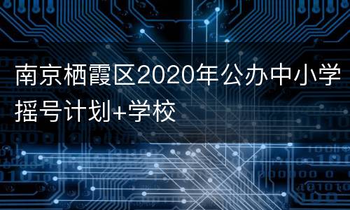 南京栖霞区2020年公办中小学摇号计划+学校