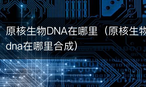 原核生物DNA在哪里（原核生物dna在哪里合成）