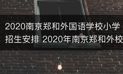 2020南京郑和外国语学校小学招生安排 2020年南京郑和外校小学部招生