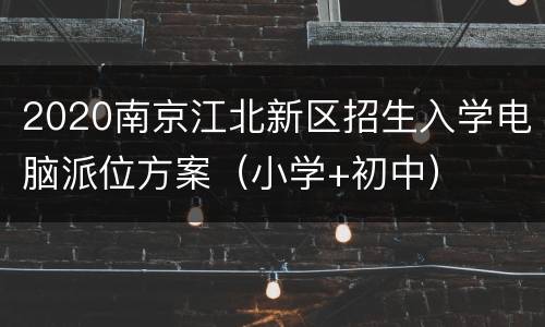 2020南京江北新区招生入学电脑派位方案（小学+初中）