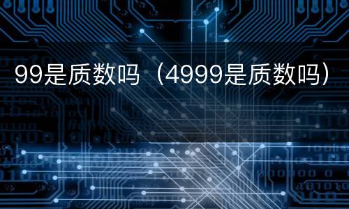 99是质数吗（4999是质数吗）