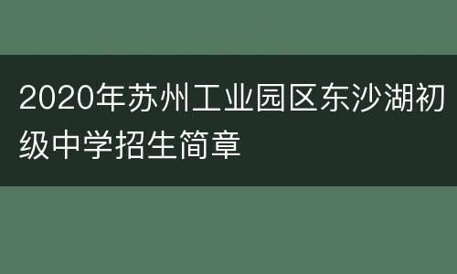 2020年苏州工业园区东沙湖初级中学招生简章