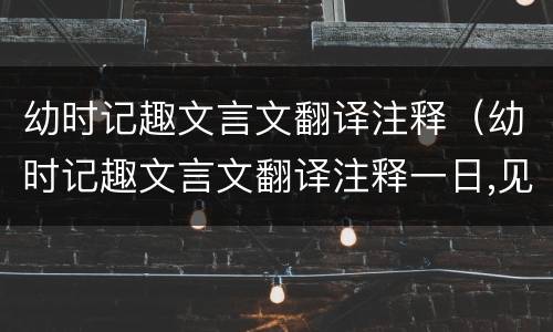 幼时记趣文言文翻译注释（幼时记趣文言文翻译注释一日,见二虫斗草间）