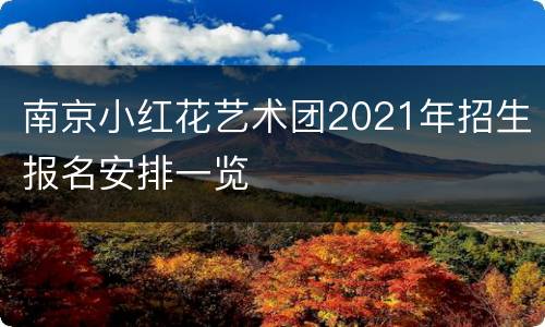 南京小红花艺术团2021年招生报名安排一览