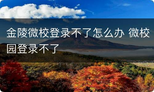 金陵微校登录不了怎么办 微校园登录不了