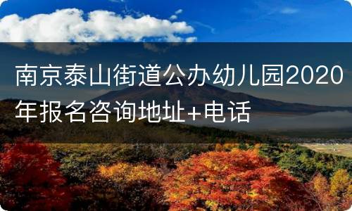 南京泰山街道公办幼儿园2020年报名咨询地址+电话
