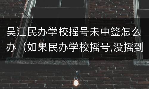 吴江民办学校摇号未中签怎么办（如果民办学校摇号,没摇到怎么办）