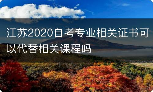 江苏2020自考专业相关证书可以代替相关课程吗