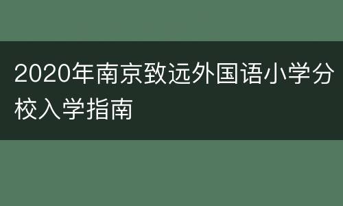 2020年南京致远外国语小学分校入学指南