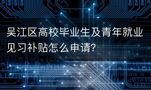 吴江区高校毕业生及青年就业见习补贴怎么申请？
