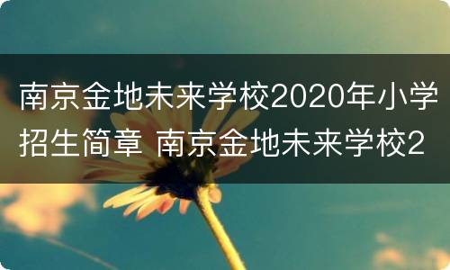 南京金地未来学校2020年小学招生简章 南京金地未来学校2020年小学招生简章