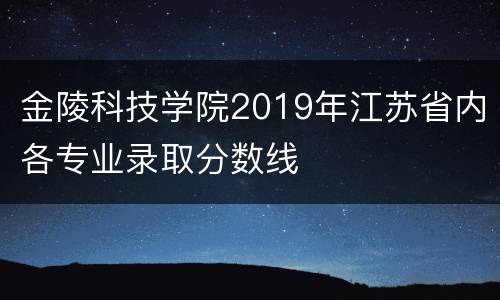 金陵科技学院2019年江苏省内各专业录取分数线